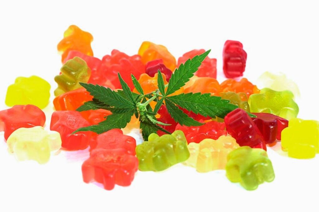 WholeLeaf CBD Square Gummies & Oil for anxiety stress
