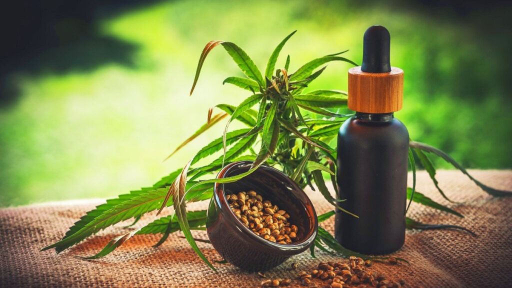 Best Time to Use CBD