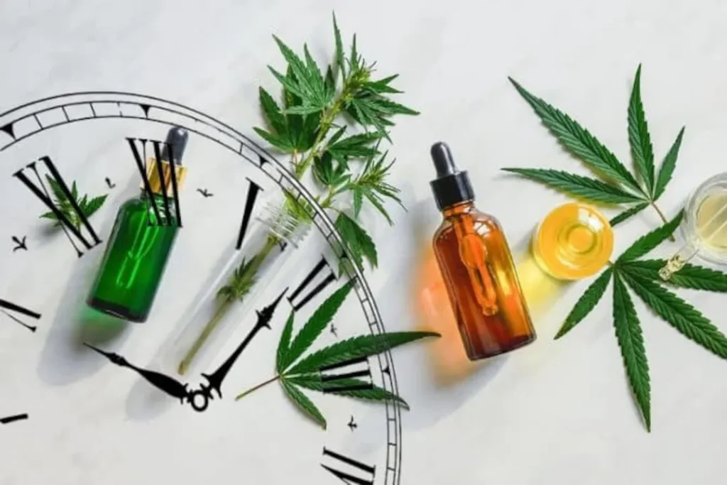 What is the Best Time to Use CBD