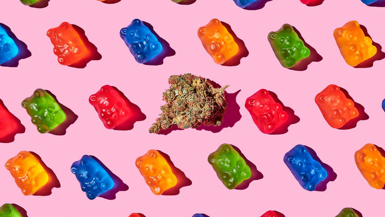 Microdosing with CBD Gummies A Beginner’s Guide to Precision Wellness