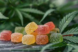 CBD Gummie for Wellness
