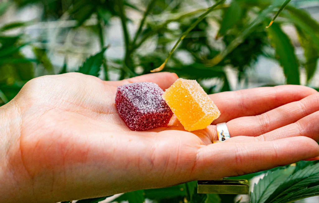 CBD Gummies Dosage