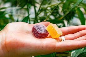 Bioavailability of CBD Gummies