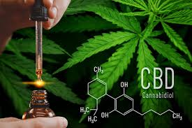 CBD Gummies and Healthy Aging